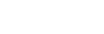 The Village Logo